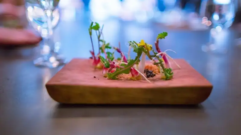 Houston vegetarian catering